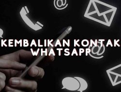 Cara Mengembalikan Kontak WhatsApp yang Hilang: Solusi Cepat dan Efektif!