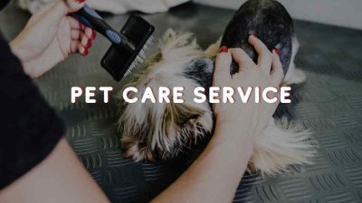 Pet Care Service