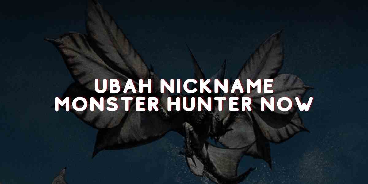Ubah Nickname Monster Hunter now