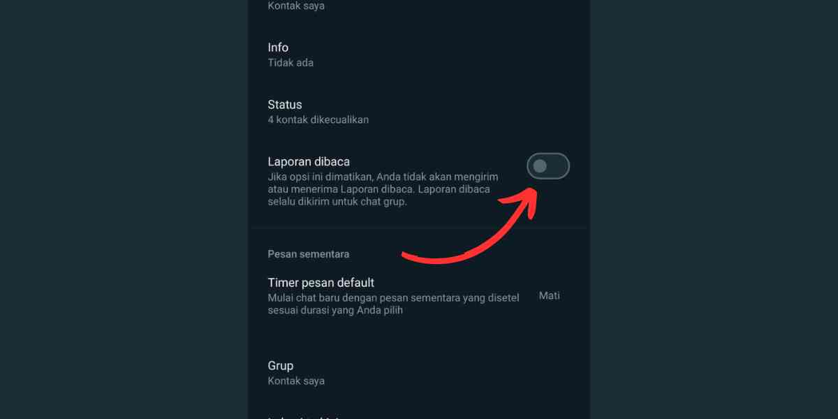 laporan dibaca whatsapp centang biru