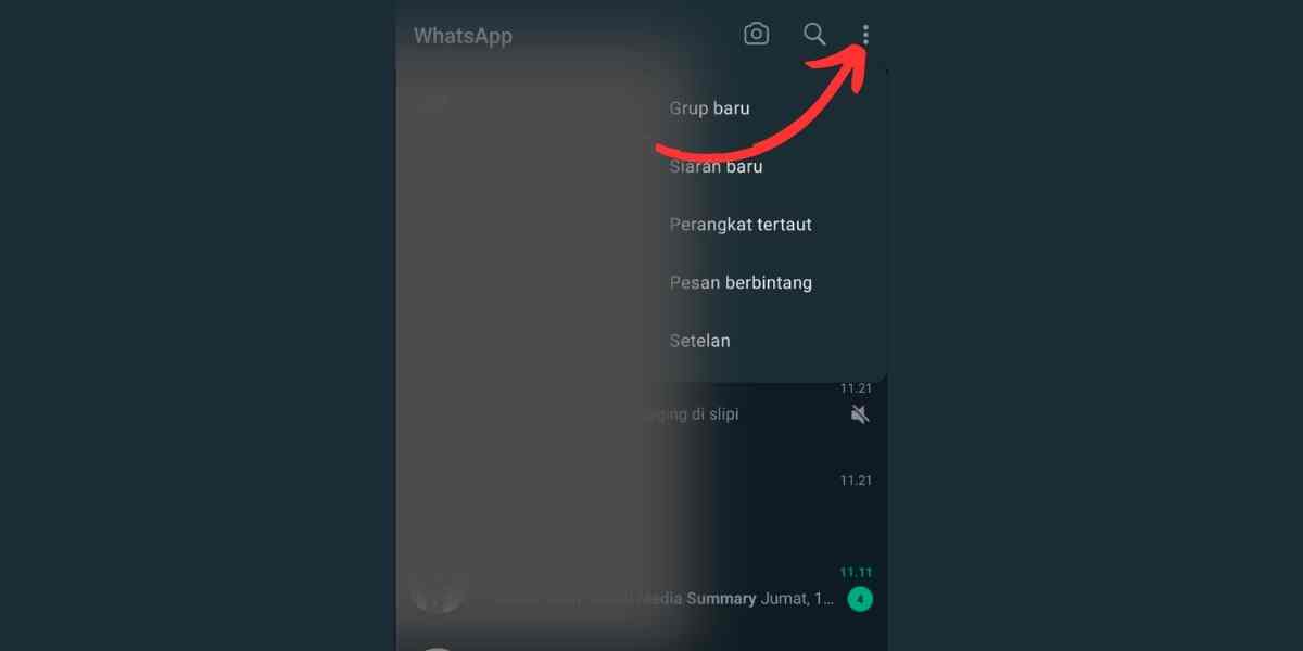 opsi whatsapp centang biru