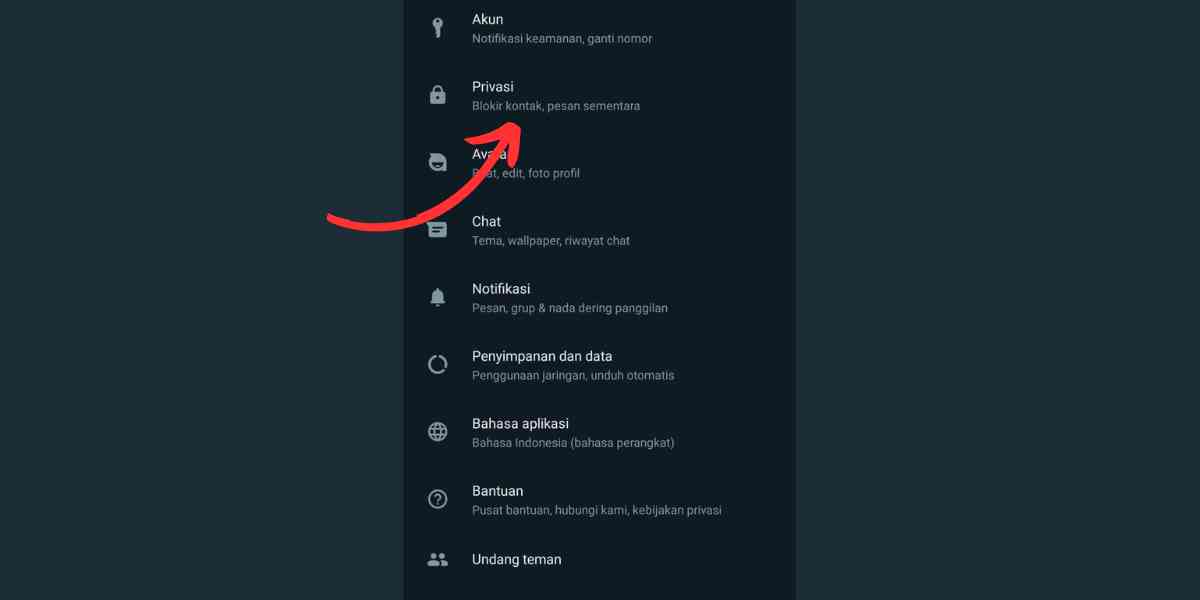 privasi whatsapp centang biru