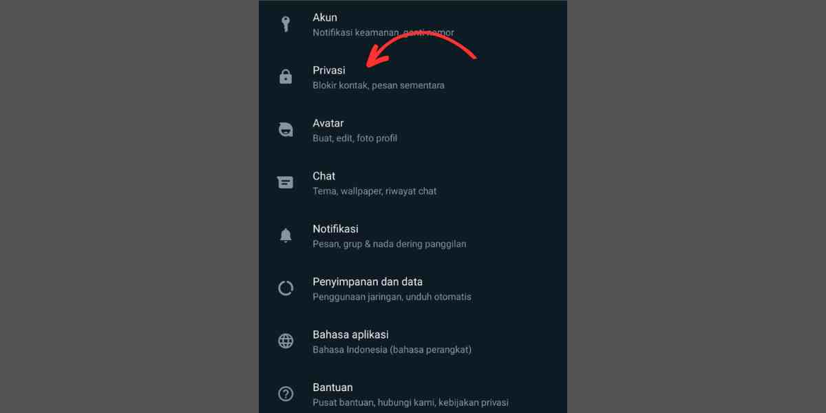 privasi whatsapp