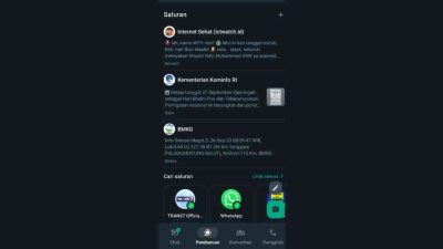 saluran whatsapp