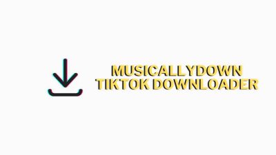 MusicallyDown TikTok Downloader