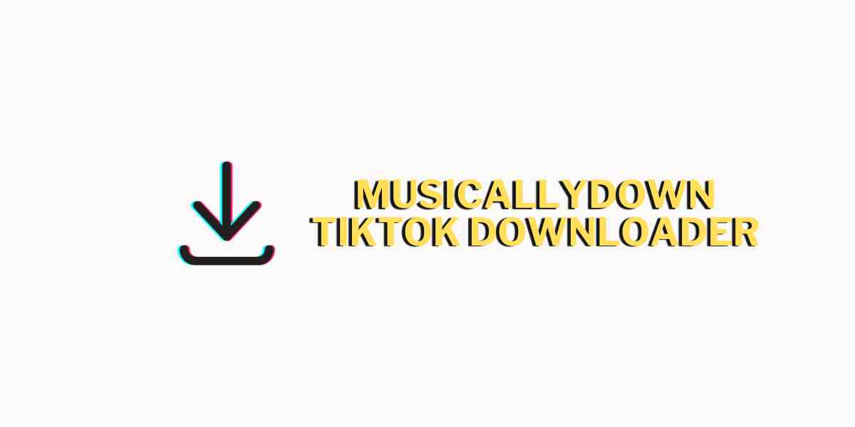 MusicallyDown TikTok Downloader