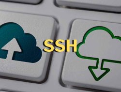 Kenali SSH: Cara Kerja, Kegunaan, dan Tips Memilih yang Tepat