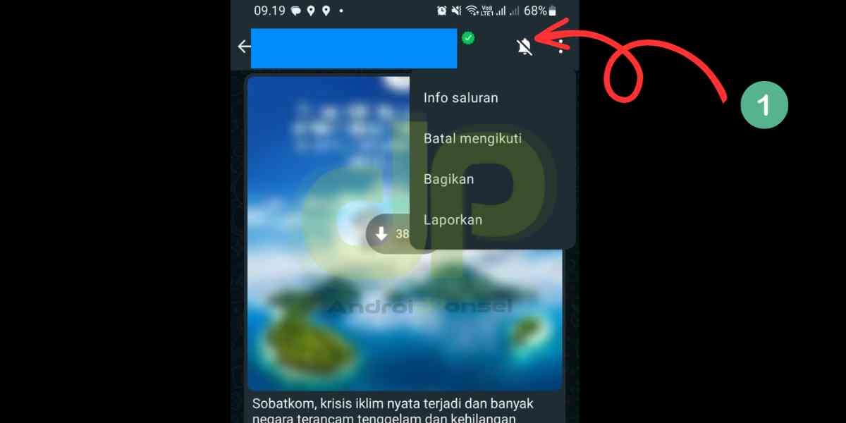 notifikasi saluran WhatsApp