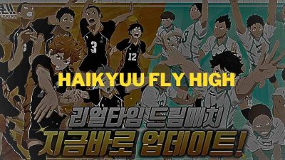 Haikyuu Fly High