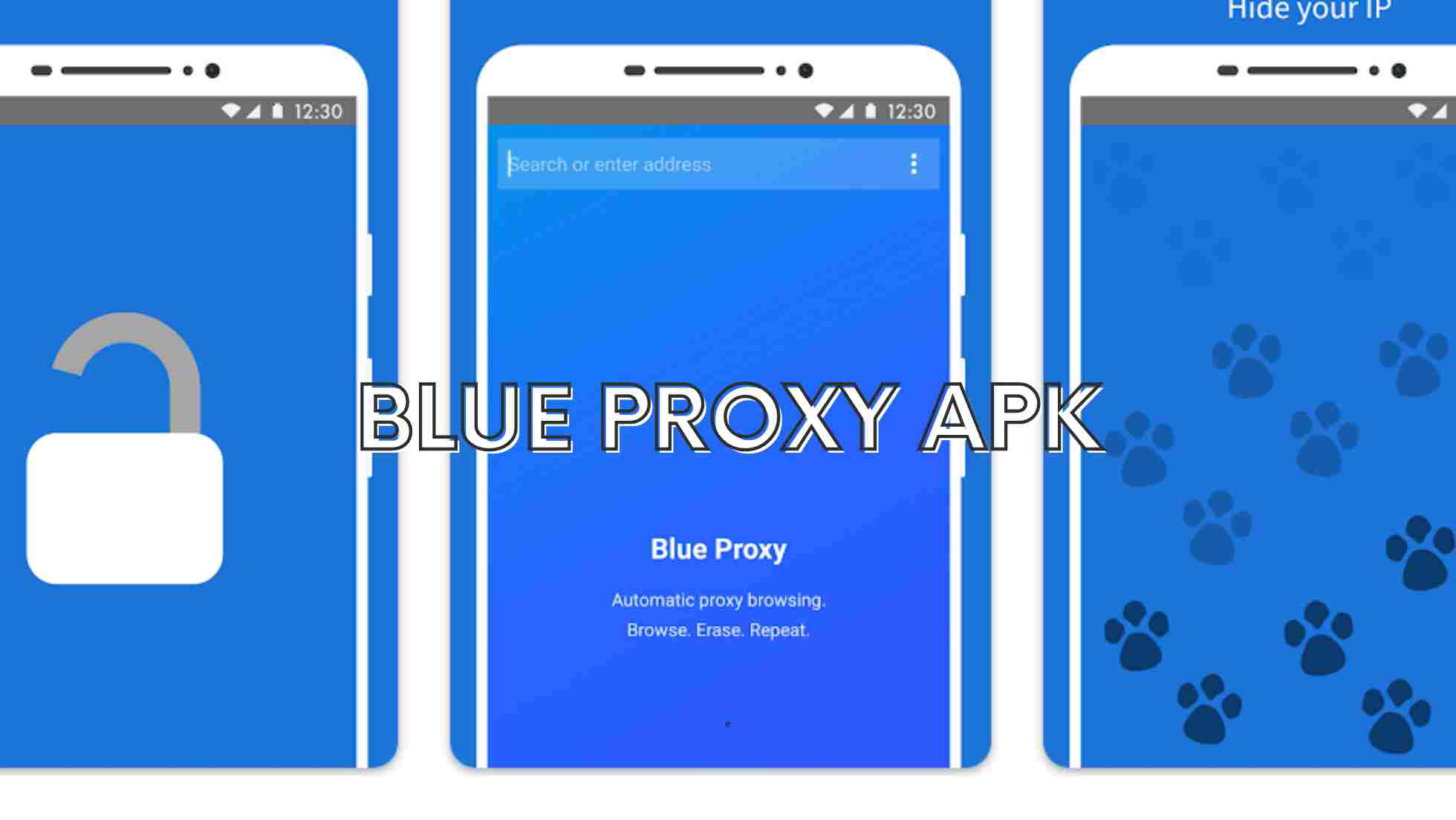 Blue Proxy