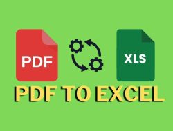 Mengubah PDF ke Excel Tanpa Berantakan: Panduan Lengkap
