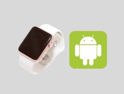 Konektivitas Apple Watch dan Android: Apa yang Perlu Sobat Ketahui