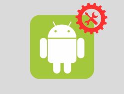 8 Cara Atasi Gagal Instal Aplikasi Android: Memori, Bug, & Lainnya