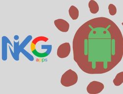 NikGApps: Solusi Custom Google Apps untuk Android Sobat