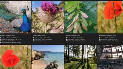 Alternatif Google Photos