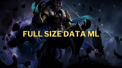 Full Size DATA ML