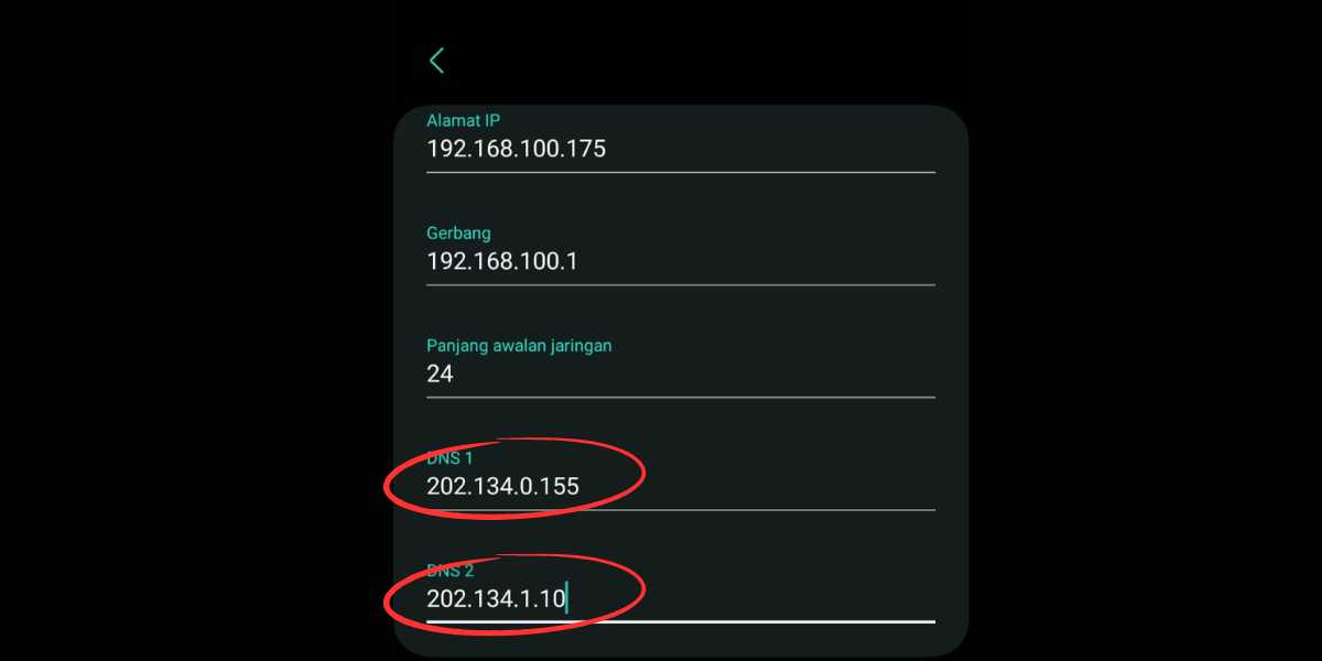 setting DNS Telkom di Android