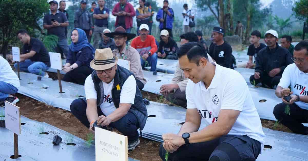 Telkom Inisiasi Ekosistem Bisnis Asparagus di Cianjur Untuk Tingkatkan Produktivitas Lahan