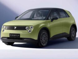 NIO Firefly