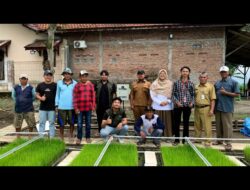 Semerbak-IoT