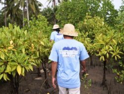 Telkom Tanam 10.000 Mangrove