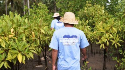 Telkom Tanam 10.000 Mangrove
