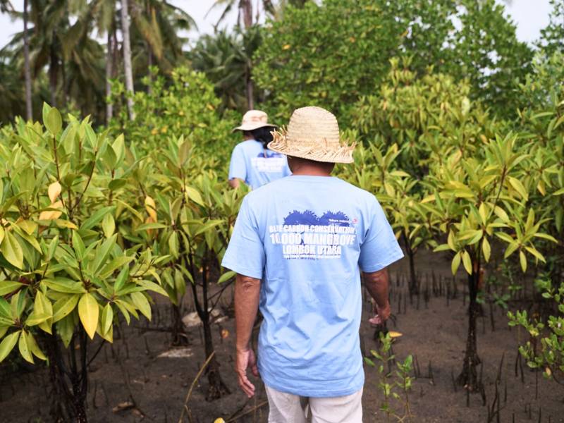 Telkom Tanam 10.000 Mangrove