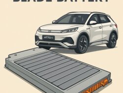 Blade Battery BYD Atto 1