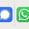 Signal vs WhatsApp