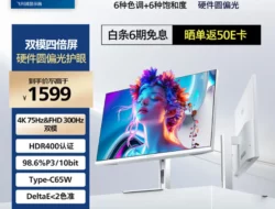 Philips 27E2N5901RW: Monitor Dual Mode 4K 75Hz / FHD 300Hz