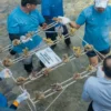 TelkomGroup & Mitratel Tanam 2.000 Fragmen Karang